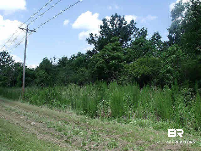 1st image of 2 County Road 49