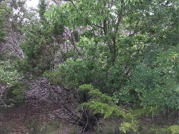 4th image of 412 Shady Bluff Dr