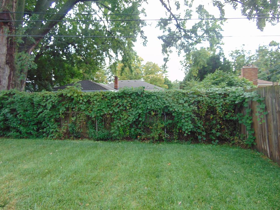 1616 Genesee Dr, photo 14