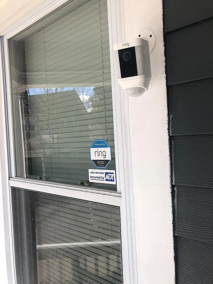 1 bed, 800 sqft, $1,500 — Photo 2