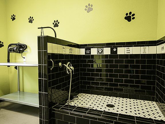 Dog Wash Station