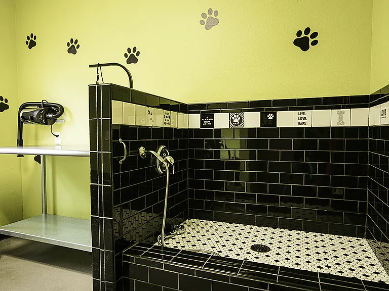 Dog Wash Station