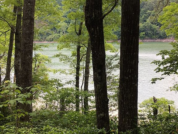 View of lake from lot #8