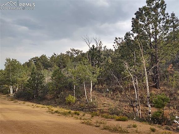 5th image of 448 Settele Dr