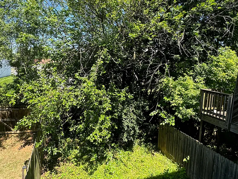 51 Talia Dr — Photo 12