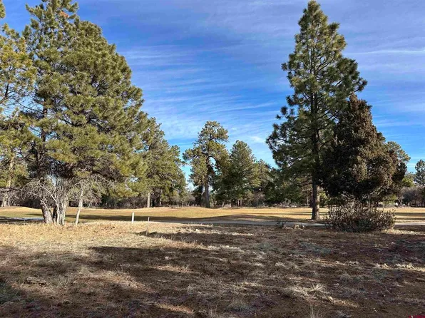 120 Puma Lane, Ridgway, CO 81432