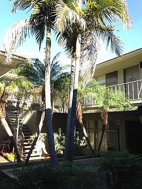 2nd image of 451 Anderwood Ct APT P