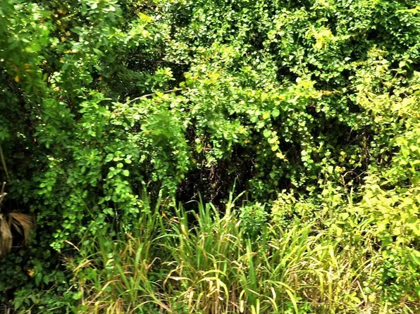 3514 Sloan Rd, Fort Pierce, FL 34947