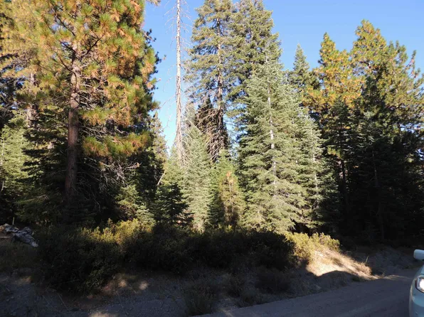 3 29 Fumarole Dr Lot C, McCloud, CA 96057