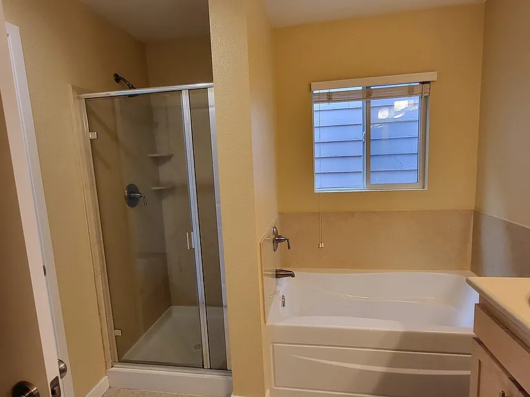 Master bath tub and shower area