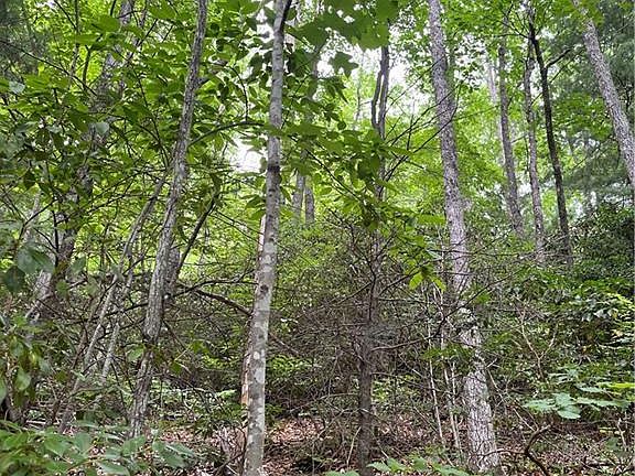 3rd image of Tbd South Carolina Ter