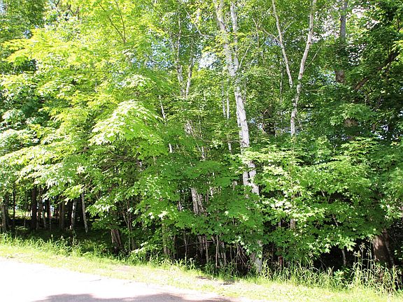 5th image of 4967X Fish Lake Rd