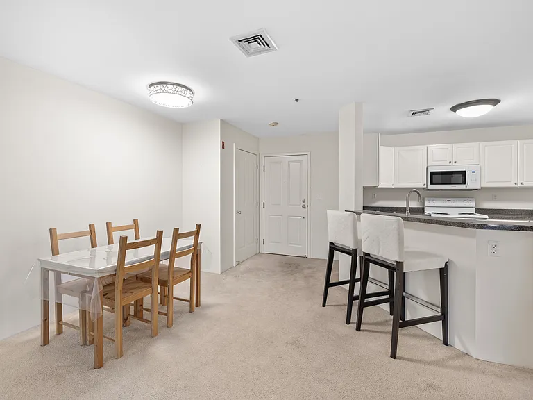 30 Franklin St #309 — Photo 4