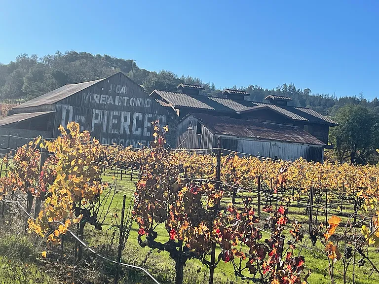 wonderful wineries Dry Creek and Alexander Valley