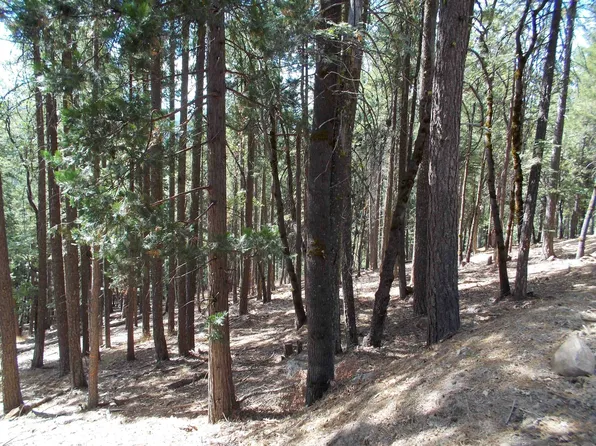 2053 Buckhorn Cir, Quincy, CA 95971