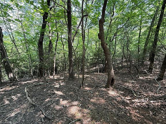 5th image of 87 McIntosh Dr