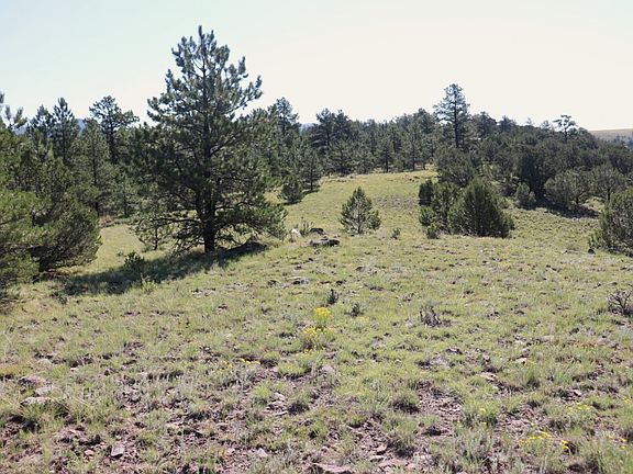 5th image of 1182 Music Mountain Dr