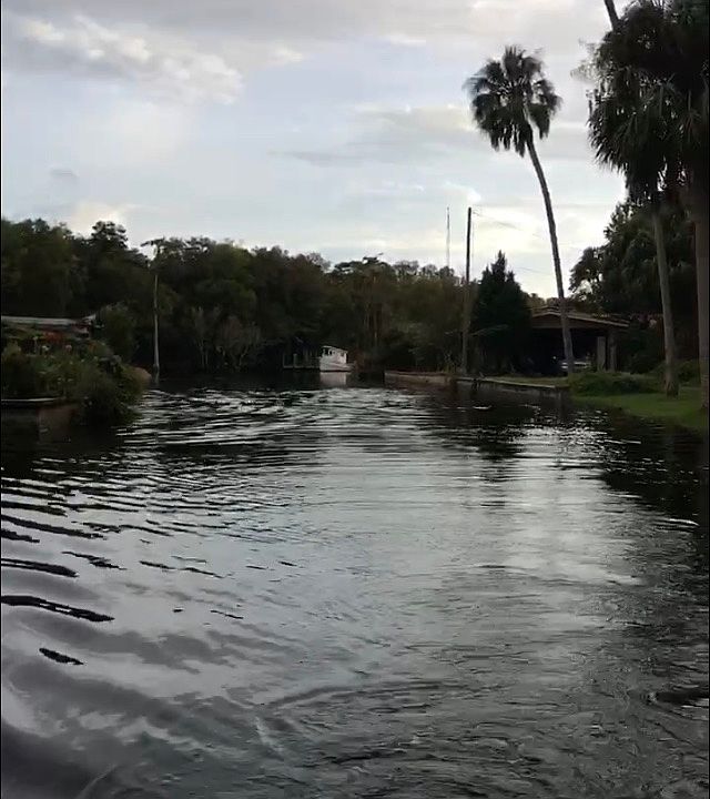 View to Withlacoochee river