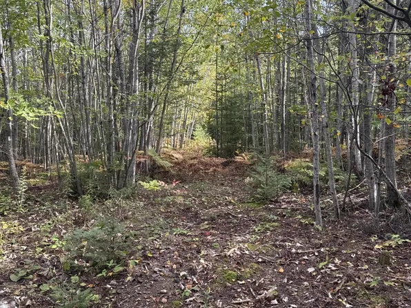 V/l Us #23, Cheboygan, MI 49721