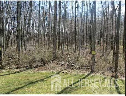 1056 Morning Glory Dr — Photo 9