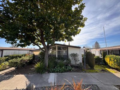 97 Glenoak Court, Santa Rosa, CA, 95409