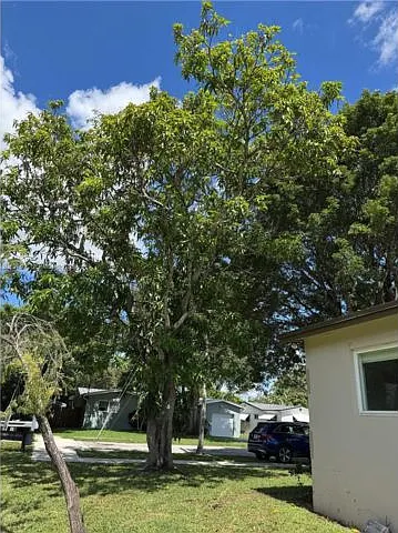 4 bed, 2.0 bath, $4,000 — Photo 4