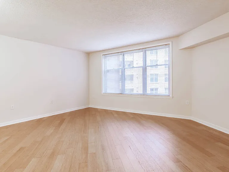 Living Room with Hard Surface Flooring
