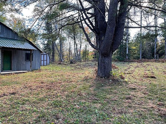 Front Clearing Area of Cabin