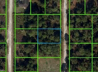 311 Wilson Ln NE, Lake Placid, FL 33852