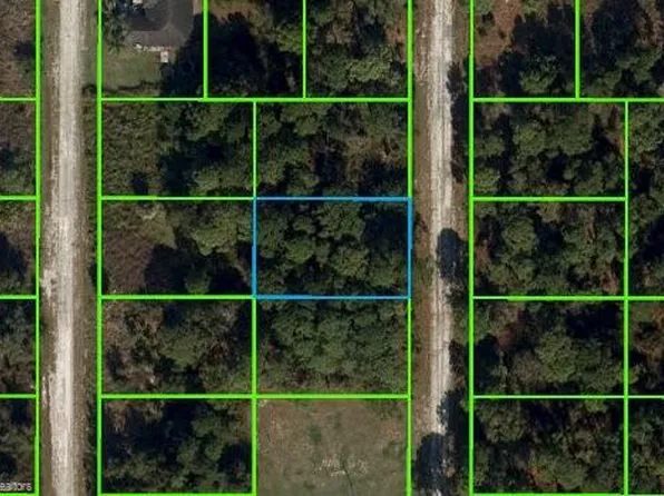 311 Wilson Ln NE, Lake Placid, FL 33852