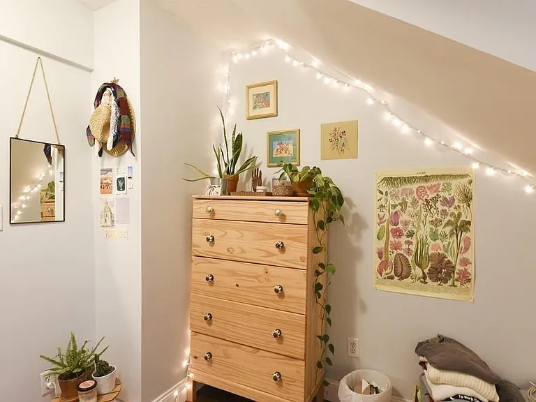227 Hurley St #3 — Photo 11