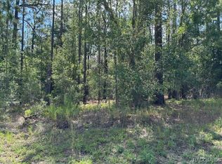 7861 N Valhalla Dr, Citrus Springs, FL 34434