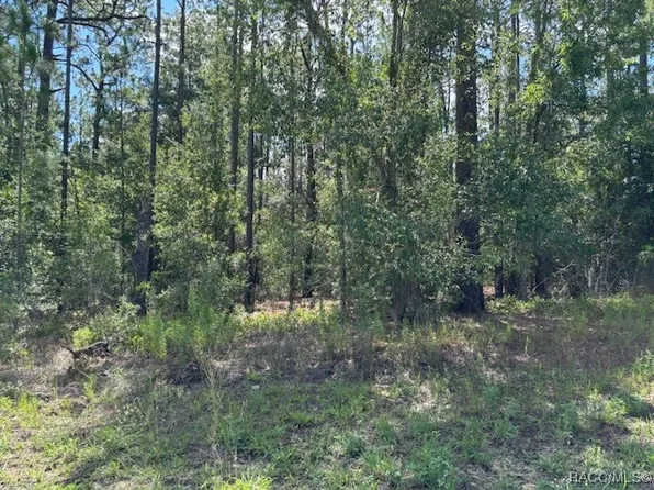 7861 N Valhalla Dr, Citrus Springs, FL 34434