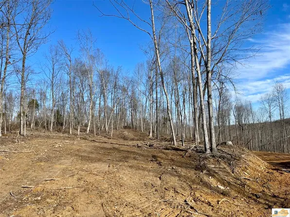 13 Ranchero Rd, Clarkson, KY 42726