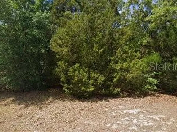 2672 S Willow Ter Lot 33, Homosassa, FL 34448