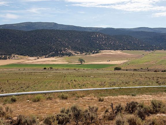irrigation