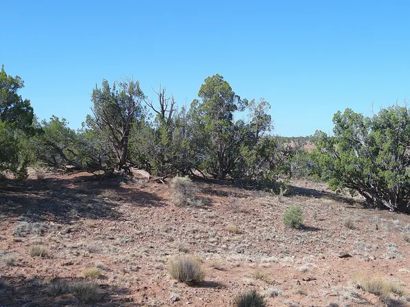 Wicked Sisters Way #38AC, Concho, AZ 85924