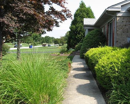 Beautiful Walk from Driveway to Front Door