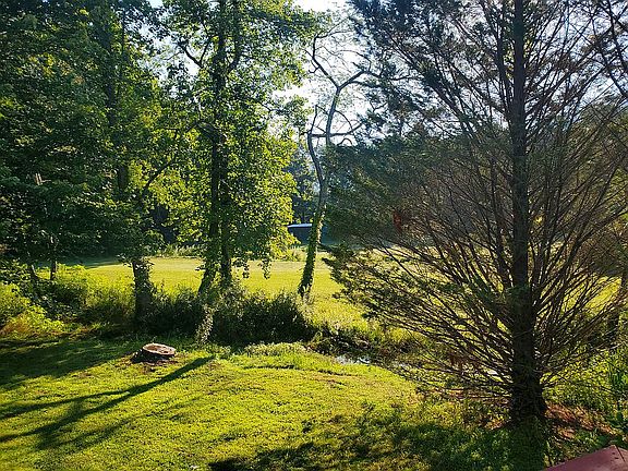 Beautiful meadow view 1