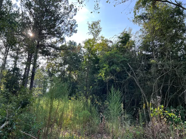 74 Section 24 Dr, Shubuta, MS 39360