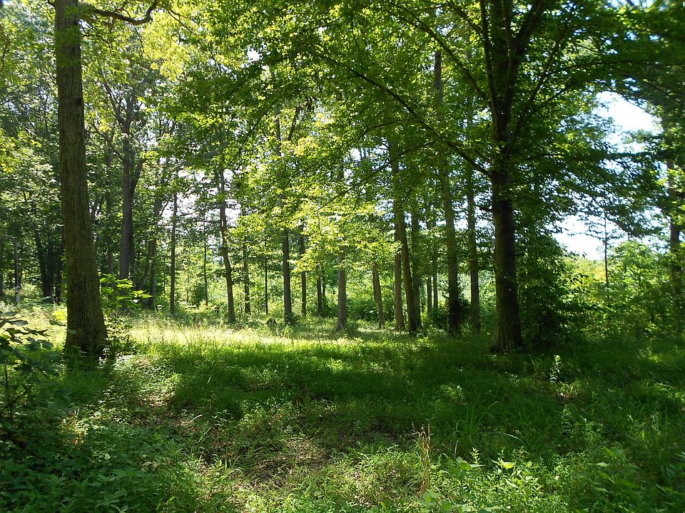 2nd image of 132 Charlie Whitaker Rd