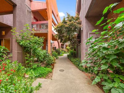 1354 Yulupa Avenue #C, Santa Rosa, CA, 95405