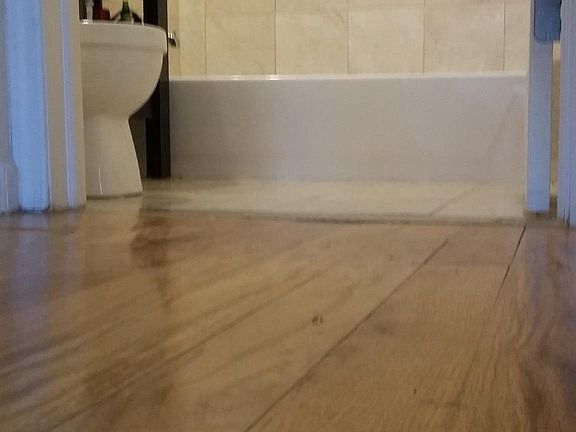 4th image of 8265 116th St APT 404