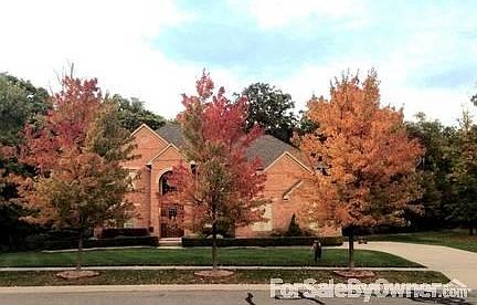 2nd image of 3130 Paramount Ln
