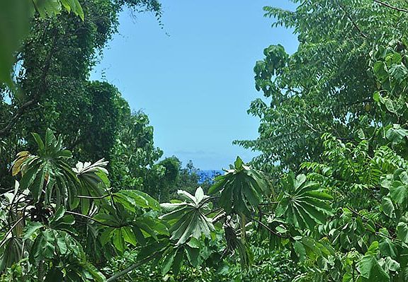 5th image of Kaimu Makena Homeste Lot D-28