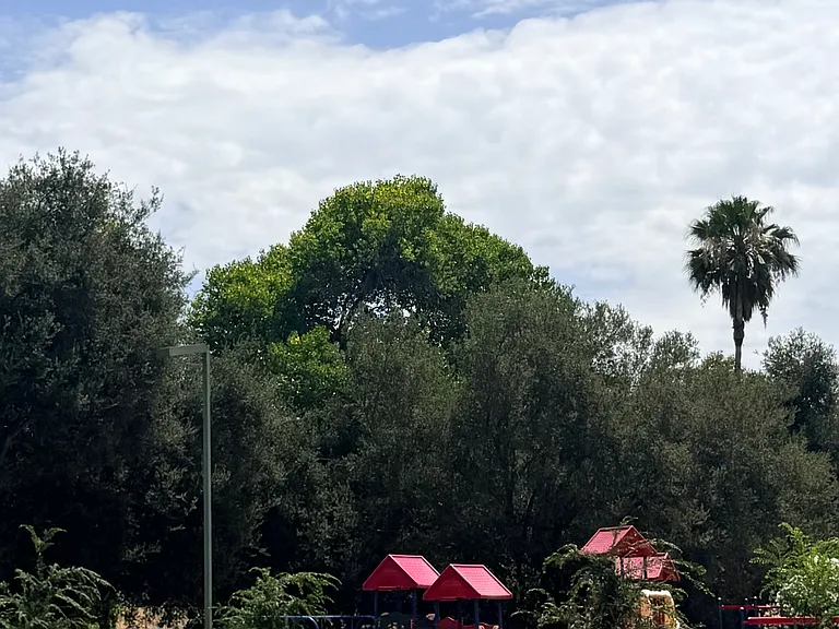 15834 Davis Cup Ln — Photo 15