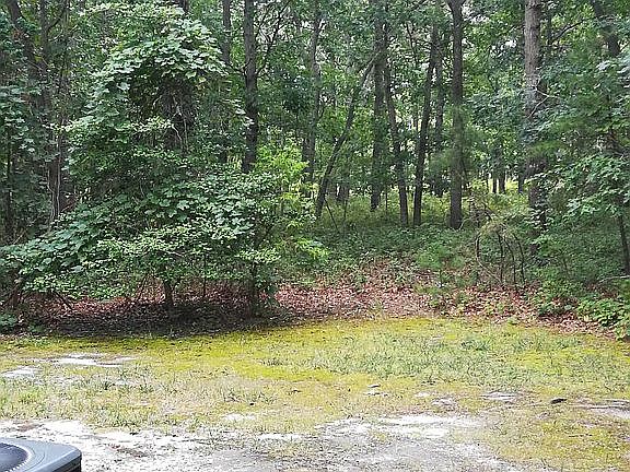 Rear yard