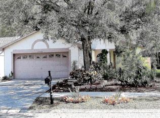 10834 Peppersong Dr, Riverview, FL 33578