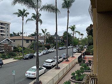 Tree-top View on a Quiet Street