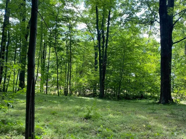 Elm Dr, Lakeview, MI 48850